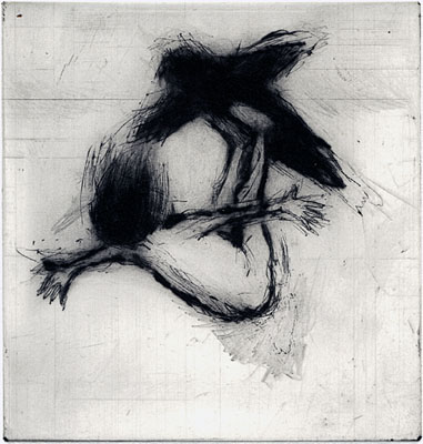 Helena Bergenrud  bergenrud.com  SKUGGLEK, 11 X 10 CM torrnålsgravyr, drypoint, kaltnadel radierung